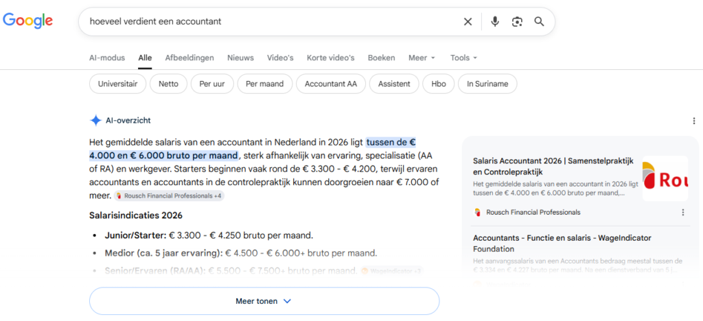 voorbeeld ai overview